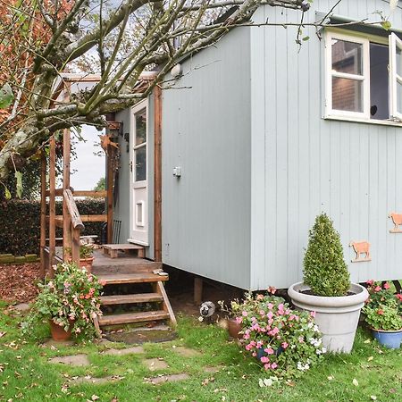 Thursley Farmhouse Garden Shepherds Hut מראה חיצוני תמונה